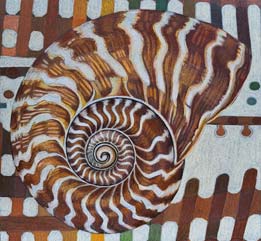 Nautilus 4